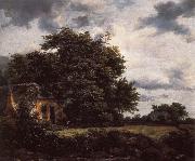 Cottage under the trees near a Grainfield